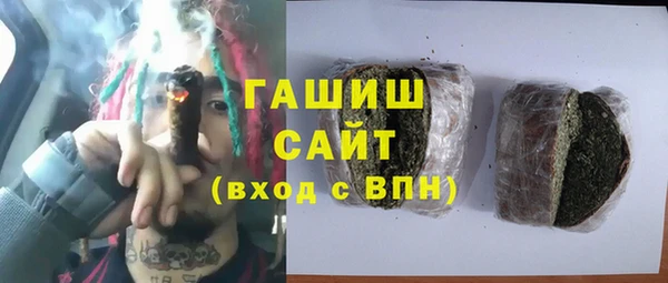 гашик Алексин