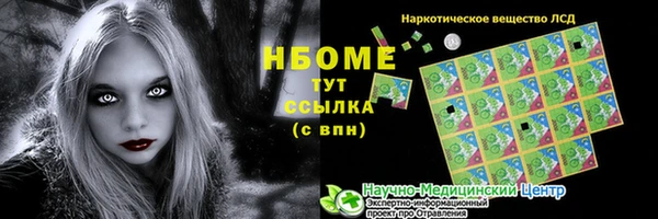 гашик Алексин