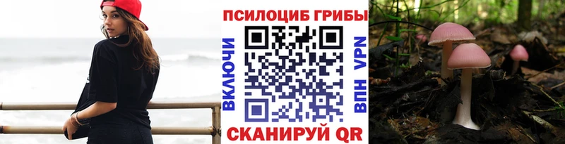 Псилоцибиновые грибы GOLDEN TEACHER  Пенза 