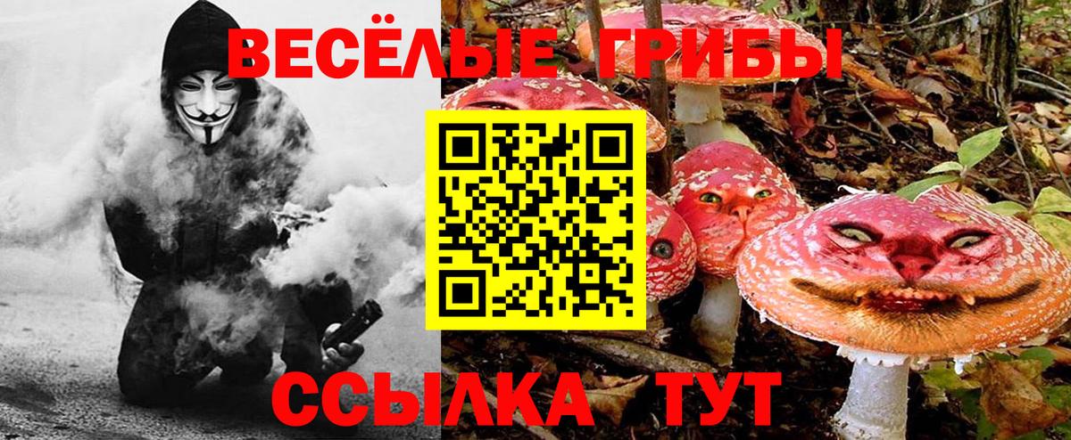 Галлюциногенные грибы Magic Shrooms  Вход с VPN  Пенза  Галлюциногенные грибы MAGIC MUSHROOMS 